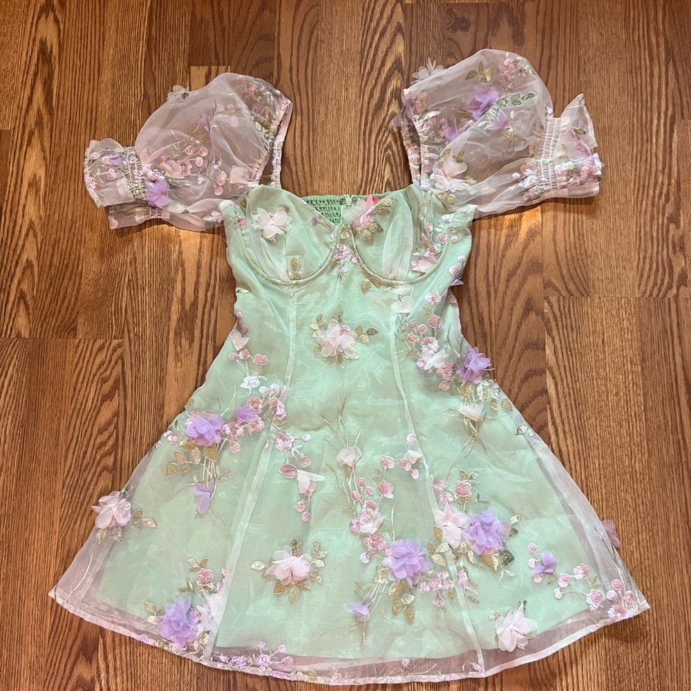 Floral Embroidered Dress with Sheer Sleeves